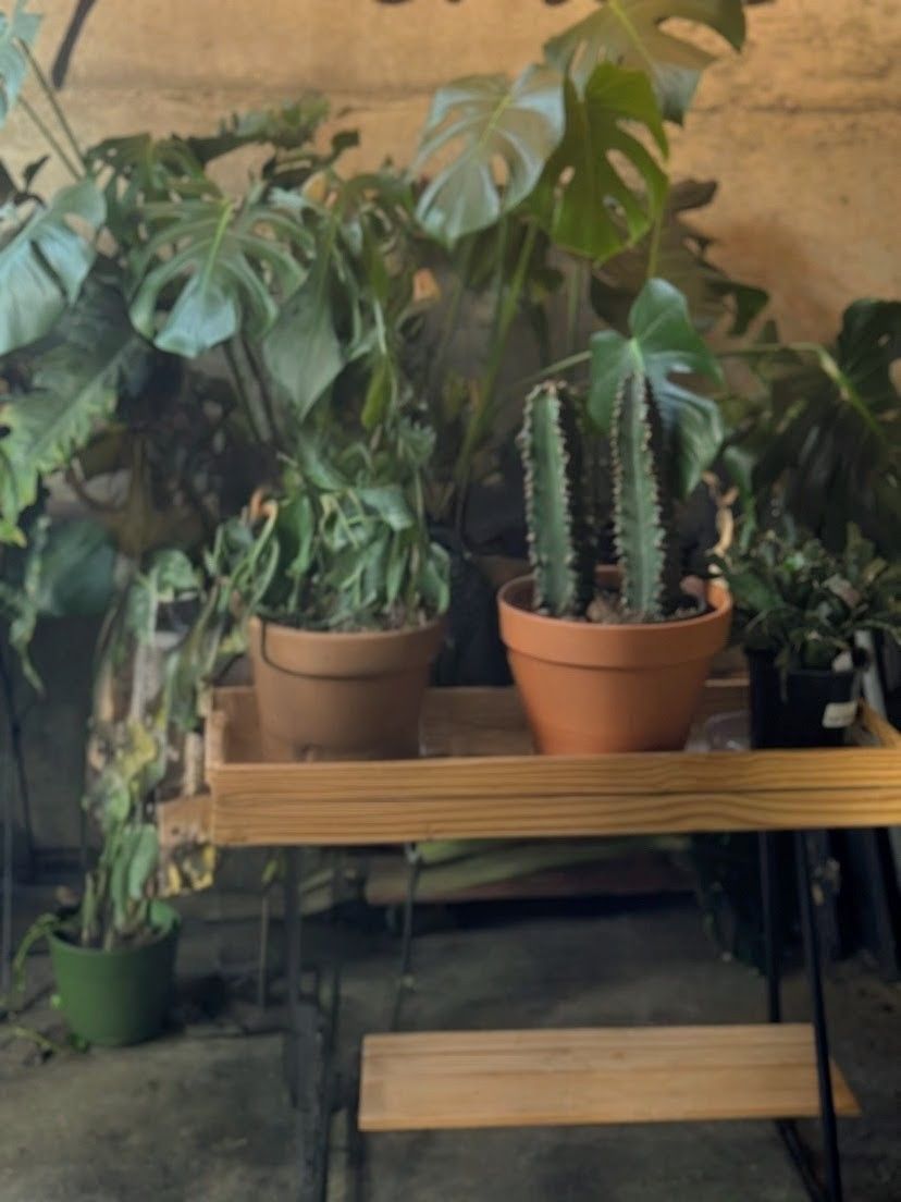 Caeli wearing her Miss, Mrs., Ms., Dr. shirt where everything but Dr. is crossed out. But someone crossed out the doctor part too and drew an arrow back to Mrs. and circled it.