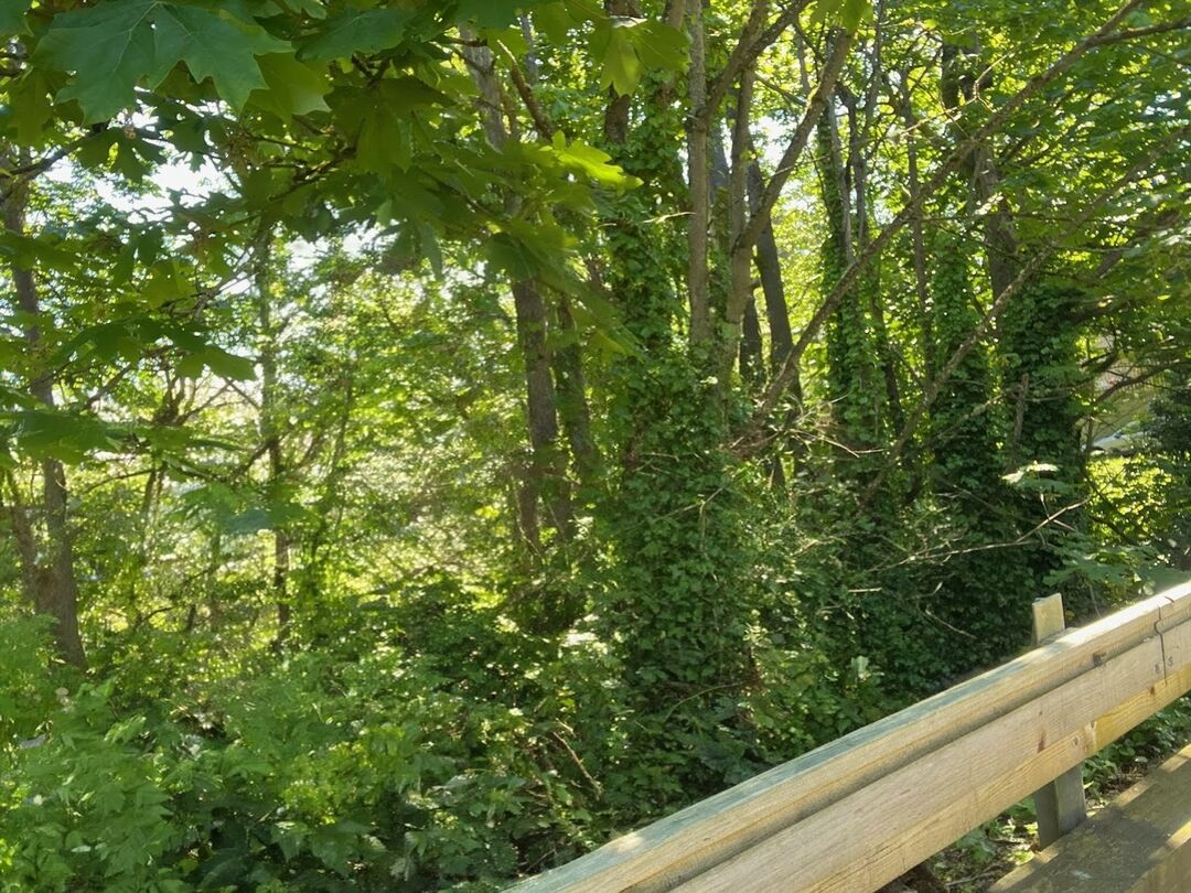 Caeli and Jared taking a selfie on Bainbridge island, newly engaged